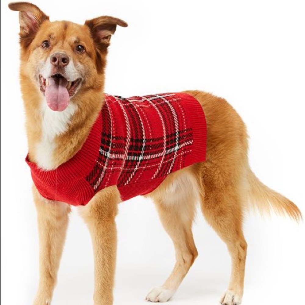 Charter Club Pet Sweater